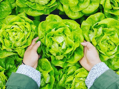 FinCrest Advisory Services