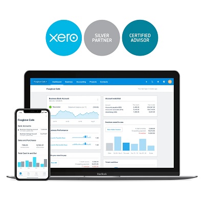 xero ERP